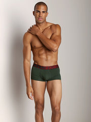 2(x)ist Mountain View Green One No-Show Trunk