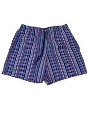 Lacoste Multicoloured SW4 Swim Shorts