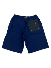 Lacoste Navy Purple Shorts