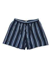 Lacoste Navy Stripe Swimming Shorts