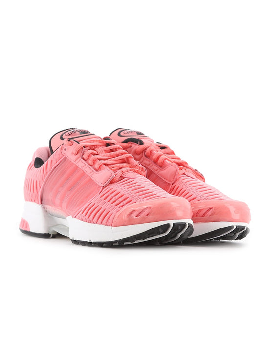 Adidas Pink Climacool 1 Trainer